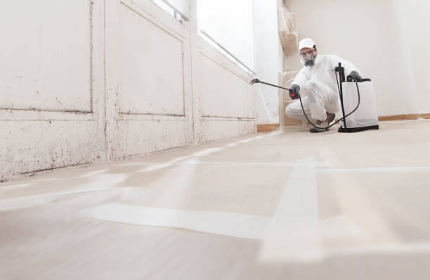 24/7 Emergency Attic Mold Removal experts in Woodstock, VA